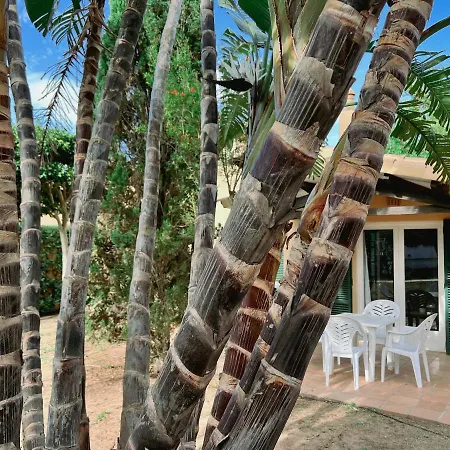 Bungalow Tropical Nº6 -