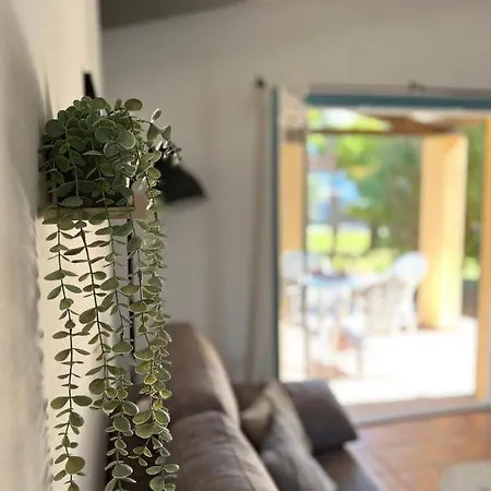 Bungalow Tropical Nº6 - Apartamento