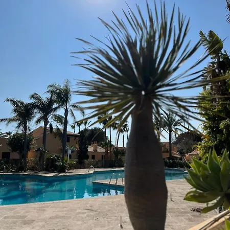 Bungalow Tropical Nº6 - Apartamento *