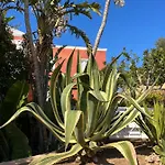 Bungalow Tropical Nº6 - *